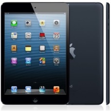 iPad mini Wi-Fi 16GB (Black)